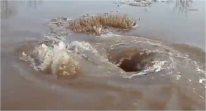 L'acqua Del Lago Non è Mai Dolce Spiegazione Finale