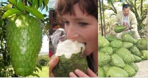 Guanabana: il frutto che combatte il cancro, abbassa la pressione e fa dimagrire, ma nessuno ne parla. Sapete perch??