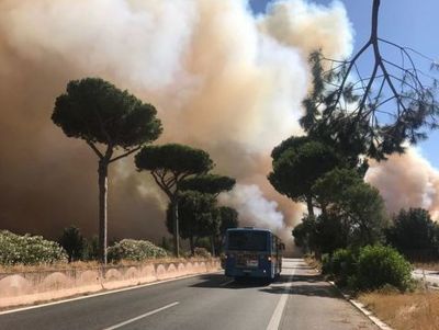 Incendio pineta Castel Fusano, Virginia Raggi sul posto Incendio pineta Castel Fusano, Virginia Raggi sul posto