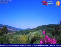 Webcam 