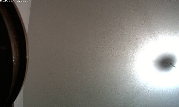 Webcam SAVIGNANO SUL PANARO