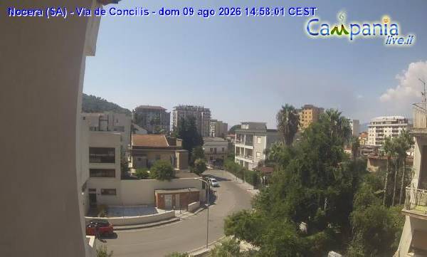 Webcam 