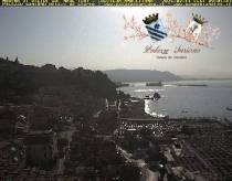 Webcam 