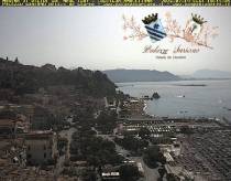 Webcam 