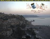 Webcam 