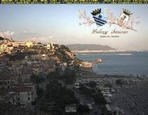 Webcam 