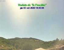 Webcam 