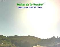 Webcam 