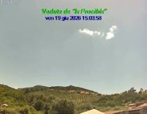 Webcam 