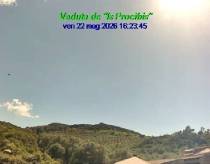 Webcam 