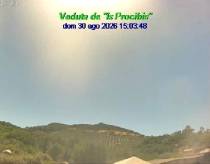 Webcam 