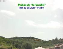 Webcam 