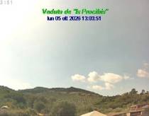Webcam 