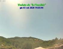 Webcam 