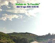 Webcam 