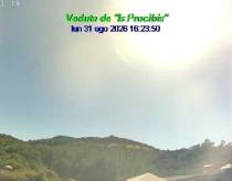 Webcam 