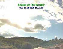 Webcam 