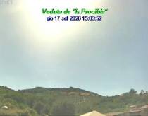 Webcam 