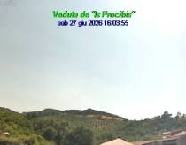 Webcam 
