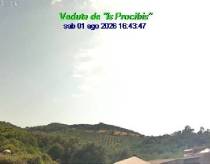 Webcam 