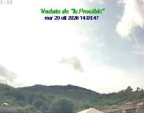 Webcam 