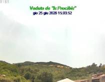 Webcam 