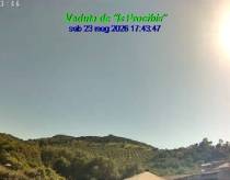 Webcam 