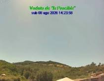 Webcam 