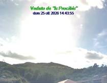 Webcam 