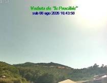 Webcam 