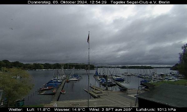 Webcam 