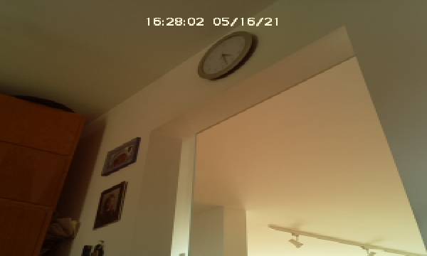 Webcam 