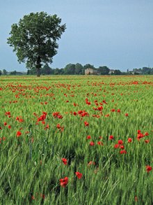 pianura_padana