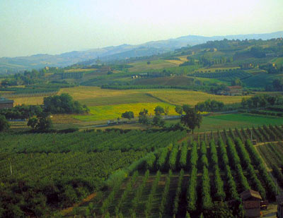 Paesaggio_margine_sm