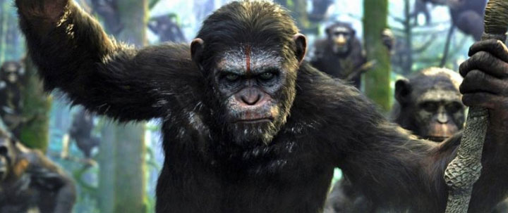 Il Pianeta Delle Scimmie Saga Ordine Cronologico