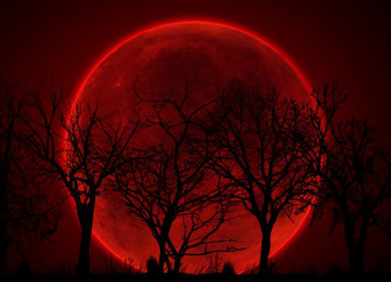 Luna Rossa in arrivo l'8 Ottobre
