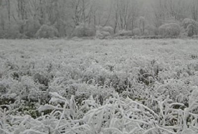 Temperature rigide in Italia in Pianura Padana, a Parma, toccati i -10°C questa notte