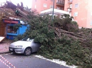 Cade albero a Napoli