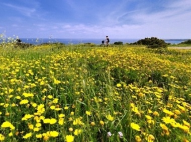 Bel tempo in Italia lunedì generalmente stabile caratterizzato dal sole da Nord a Sud