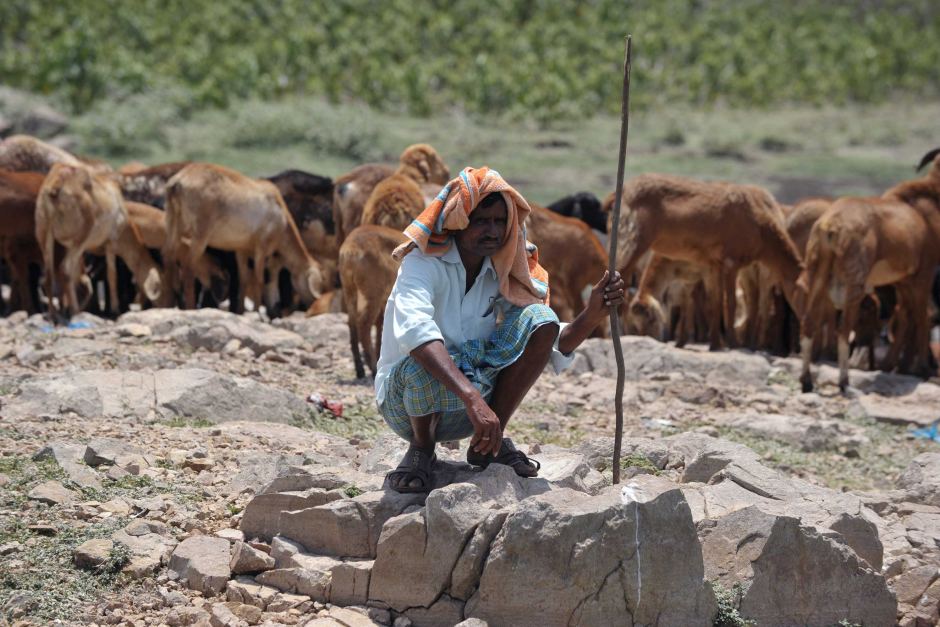 Caldo intenso in India