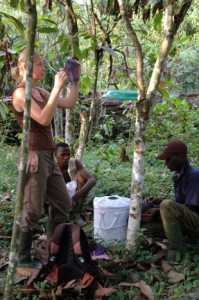 Due nuovi virus isolati in africa