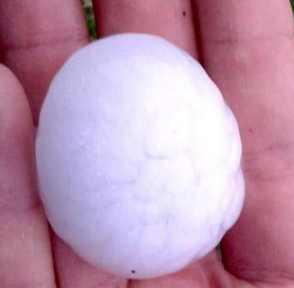 Grandine come uova fotografata da Valerio Staffelli di Striscia La Notizia