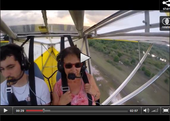 Gatto sull aliante Gatto sull aliante