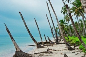 A Sumatra lo tsunami del 2004 ha avuto dei precedessori