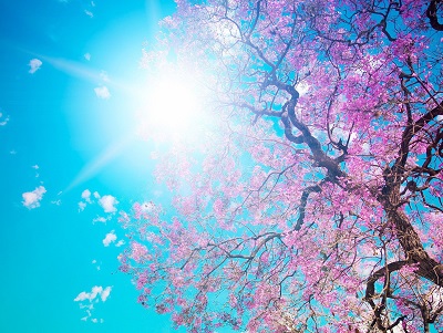 Tempo stabile sull'Italia la settimana inizia all'insegna del sole