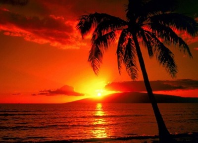 Cieli rossi al tramonto: cosa dà queste particolari sfumature all'orizzonte?