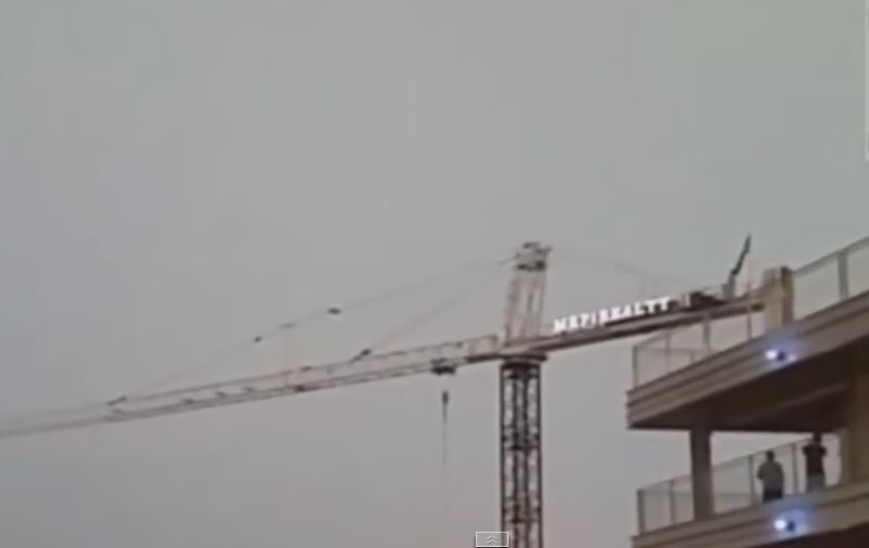 gru colpita da un fulmine gru colpita da un fulmine