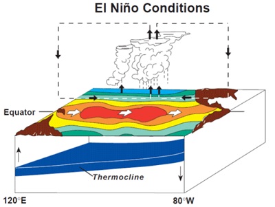 Schema della circolazione atmosferica e oceanica in una situazione di El Nino