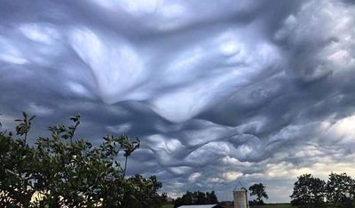 asperatus_ohio Ron Steele