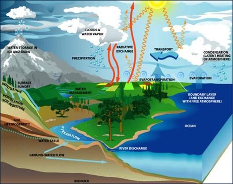 Schema del ciclo del carbonio